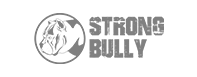 Logo | Strong Bully